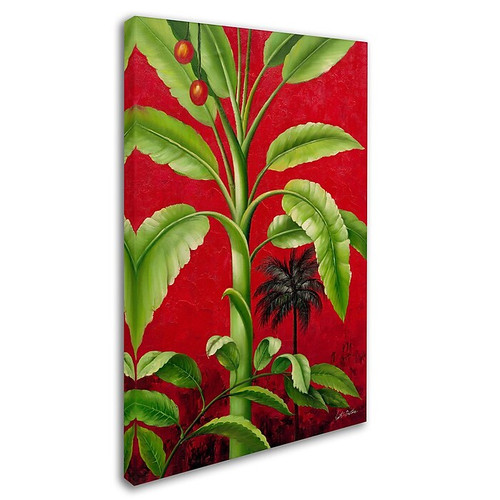 Trademark Victor Giton "Tropical Palm II" Gallery-Wrapped Canvas Art, 12" x 19" (65dcf395e8837636b11a15a7_ud)