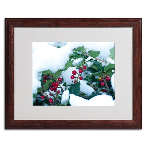 Trademark Kurt Shaffer "Holly in the Snow" Art, White Matte With Wood Frame, 16" x 20" (65dcf395e8837636b11a15ae_ud)