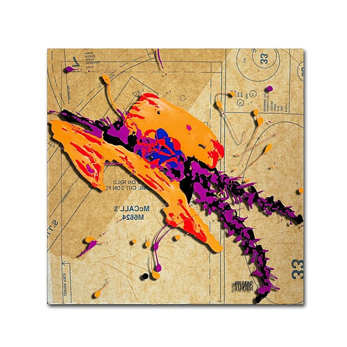 Trademark Fine Art Roderick Stevens 'Orange Hat Purple Feathers' 35 x 35 (RS984-C3535GG)