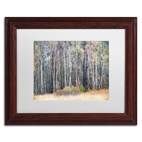 Trademark Fine Art Cora Niele 'Birches' 11" x 14" Matted Framed (190836316229)