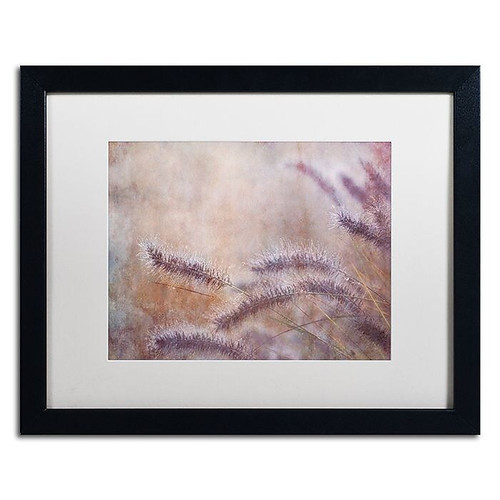 Trademark Fine Art Cora Niele 'Dew Fox Tail Grass' 16" x 20" Matted Framed (190836252312)