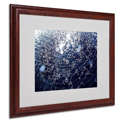 Trademark Fine Art 16" x 20" Acrylic 50 Shapes, Wood Frame (65dcf41ee8837636b11a1855_ud)