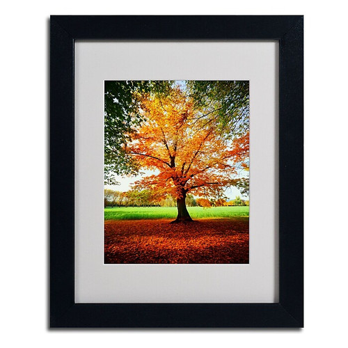 Trademark Philippe Sainte-Laudy "Tout Feu" Art, White Matte With Black Frame, 11" x 14" (65dcf438e8837636b11a18c4_ud)