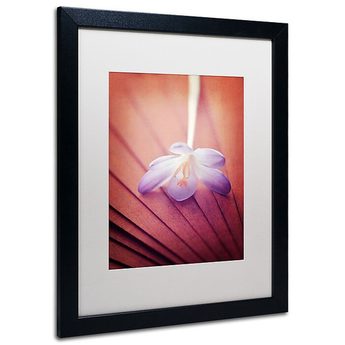 Trademark Philippe Sainte-Laudy "Access to Desires" Art, White Matte With Black Frame, 16" x 20" (65dcf443e8837636b11a18f6_ud)