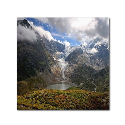 Trademark Fine Art Philippe Sainte-Laudy 'River of Ice' 14 x 14 (PSL0362-C1414GG)
