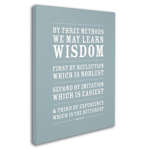 Trademark Megan Romo "Three Ways to Wisdom" Gallery-Wrapped Canvas Art, 14" x 19" (65dcf469e8837636b11a19b7_ud)