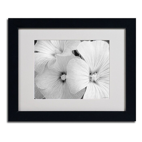Trademark Kathie McCurdy "Sheer Malva" Art, White Matte With Black Frame, 11" x 14" (65dcf476e8837636b11a19de_ud)
