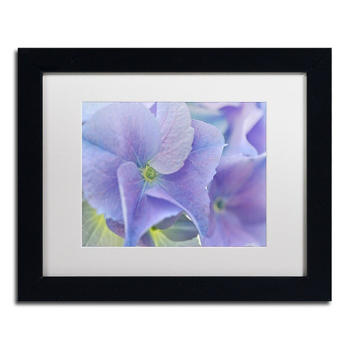Trademark Fine Art Cora Niele 'Blue Hortensia' 11" x 14" Matted Framed Art Print (190836256501)