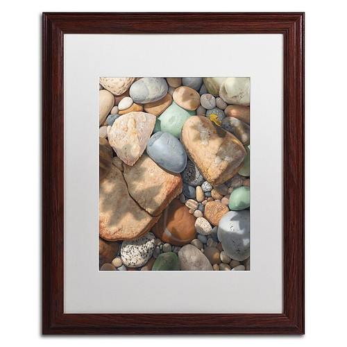 Trademark Fine Art Stephen Stavast 'Above the Shadows Break' 16 x 20 (ALI0742-W1620MF)