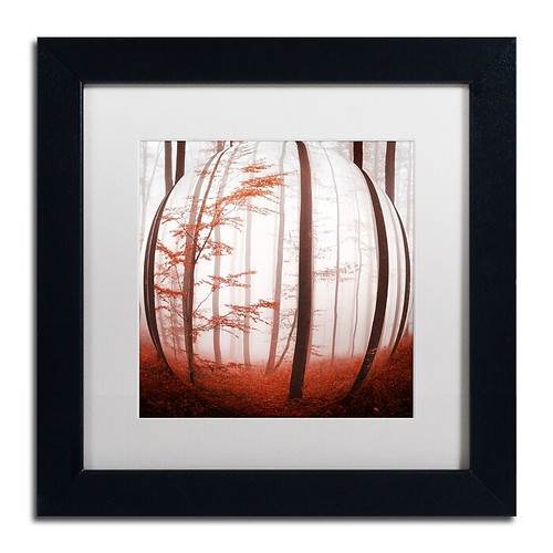 Trademark Fine Art ''Autumn to Burn'' by Philippe Sainte-Laudy 11" x 11" White Matted Black Frame (PSL0420-B1111MF)