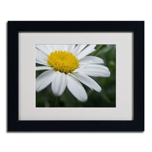 Trademark Monica Fleet "Simplistic" Art, White Matte W/Black Frame, 11" x 14" (65dcf4e4e8837636b11a1b51_ud)