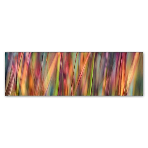 Trademark Fine Art Cora Niele 'Grass Spectrography' 6" x 19" Canvas Stretched (190836317363)