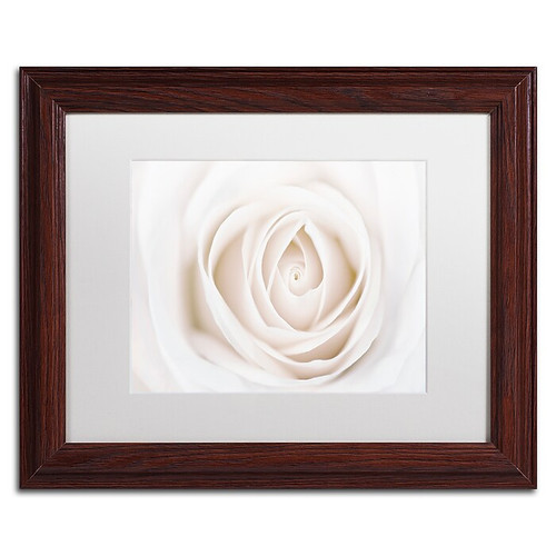 Trademark Fine Art Cora Niele 'White Rose' 11" x 14" Matted Framed (190836311545)