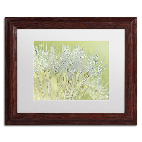 Trademark Fine Art Cora Niele 'Dandelion Dew I' 11" x 14" Matted Framed (190836251445)
