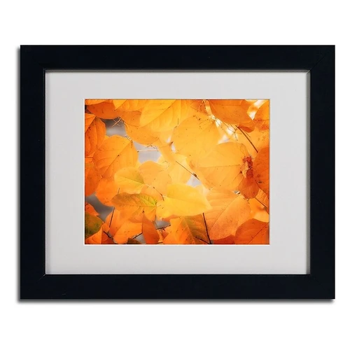 Trademark Philippe Sainte-Laudy "Seasonal Leaves" Art, White Matte With Black Frame, 11" x 14" (65dcf562e8837636b11a1d80_ud)