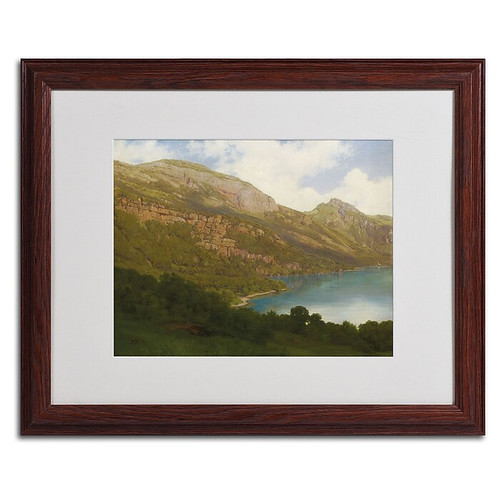 Trademark Robert Zund "View from the Rigi" Art, White Matte W/Wood Frame, 16" x 20" (65dcf562e8837636b11a1d88_ud)