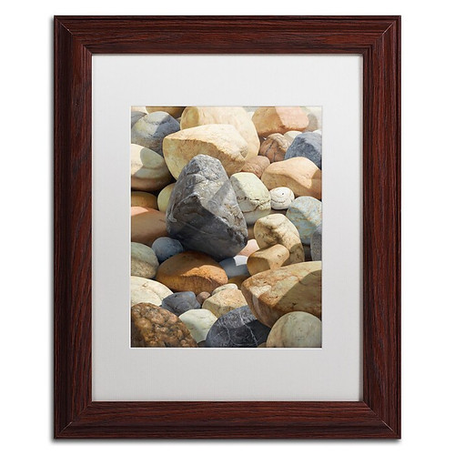 Trademark Fine Art Stephen Stavast 'A Bolder View' 11 x 14 (ALI0740-B1114MF)