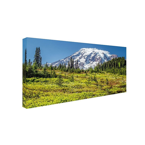 Trademark Pierre Leclerc "Mount Rainier Meadow" Gallery-Wrapped Canvas Art, 16" x 32" (65dcf5a9e8837636b11a1ed5_ud)