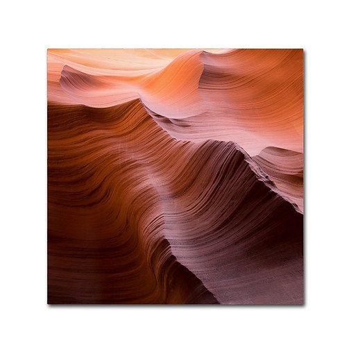 Trademark Fine Art ''Smooth I'' by Moises Levy 18" x 18" Canvas Art (ALI1136-C1818GG)