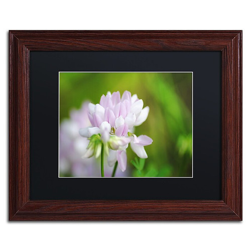 Trademark Fine Art Monica Mize 'Calm Heart' 11 x 14 (MF135-W1114MF)