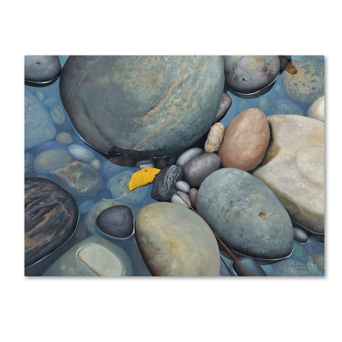 Trademark Fine Art Stephen Stavast 'Reflections on a Gray Day' 24 x 32 (ALI0744-C2432GG)