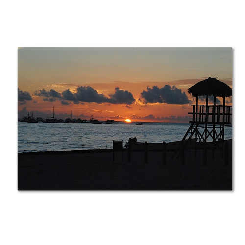 Trademark Fine Art Monica Mize 'Me Ke Aloha Pumehana' 16 x 24 (MF159-C1624GG)