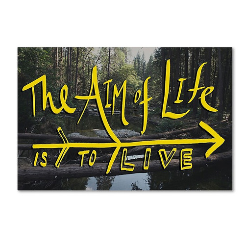 Trademark Fine Art Leah Flores 'Aim of Life' 30 x 47 (ALI0682-C3047GG)