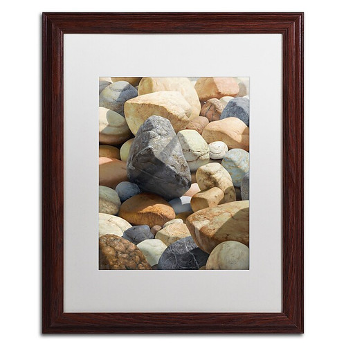 Trademark Fine Art Stephen Stavast 'A Bolder View' 16 x 20 (ALI0740-W1620MF)