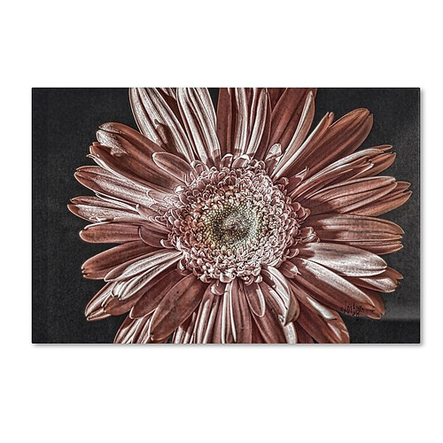 Trademark Fine Art Lois Bryan 'Silvery Pink' 22 x 32 (LBR0283-C2232GG)