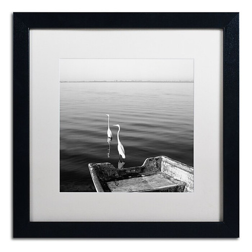 Trademark Fine Art ''2 Herons Leaving'' by Moises Levy 16" x 16" White Matted Black Frame (ALI1085-B1616MF)