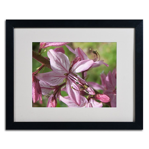 Trademark Monica Fleet "Refined Grace" Art, White Matte W/Black Frame, 16" x 20" (65dcf648e8837636b11a217a_ud)