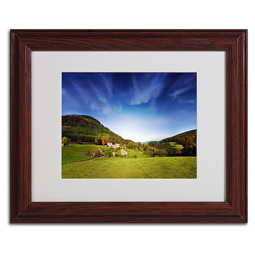 Trademark Philippe Sainte-Laudy "Nature Vosgienne" Art, White Matte With Wood Frame, 11" x 14" (65dcf648e8837636b11a217d_ud)