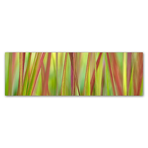 Trademark Fine Art Cora Niele 'Green & Red Grass Scape' 16" x 47" Canvas Stretched (190836317394)