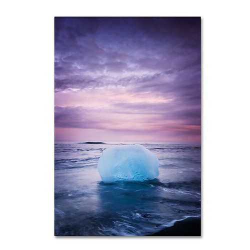 Trademark Fine Art Philippe Sainte-Laudy 'Up on This' 12" x 19" Canvas Stretched (190836331468)
