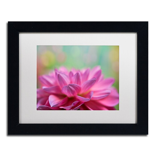 Trademark Fine Art Cora Niele 'Dahlia Petals' 11" x 14" Matted Framed (190836248063)