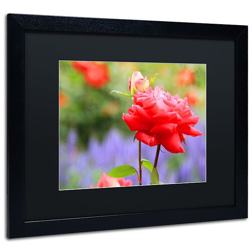 Trademark Patty Tuggle "In Bloom" Art, Black Matte With Black Frame, 16" x 20" (65dcf67ce8837636b11a226c_ud)