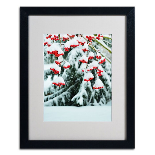 Trademark Kurt Shaffer "Winter Berries and Pine" Art, White Matte With Black Frame, 16" x 20" (65dcf6c4e8837636b11a2375_ud)
