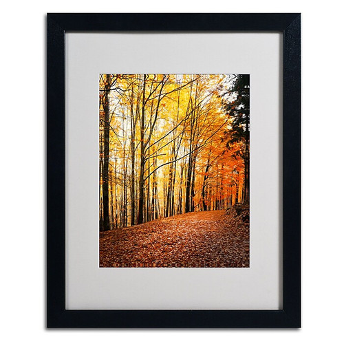 Trademark Philippe Sainte-Laudy "Yellow Moment" Art, White Matte With Black Frame, 16" x 20" (65dcf6c5e8837636b11a2378_ud)