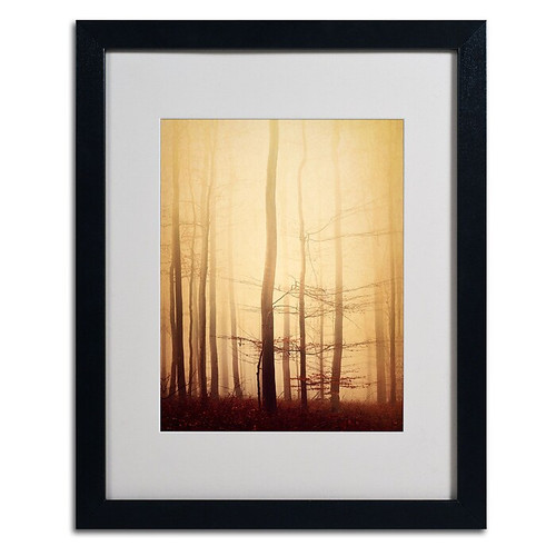 Trademark Philippe Sainte-Laudy "Twisted Line" Art, White Matte With Black Frame, 16" x 20" (65dcf6d1e8837636b11a23b6_ud)