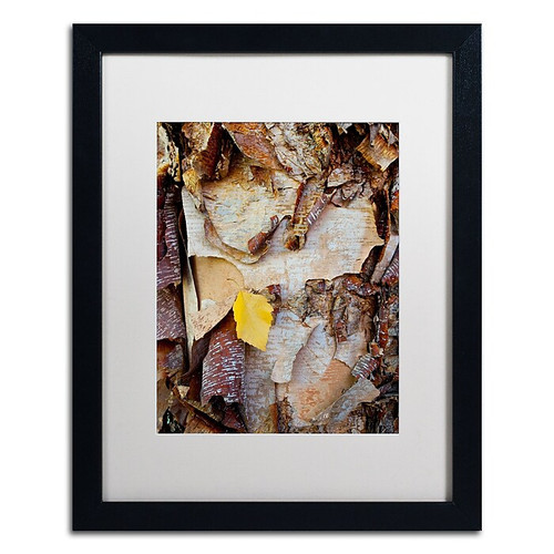 Trademark Fine Art Kurt Shaffer 'Paper Birch Abstract' 16 x 20 (KS0132-B1620BMF)