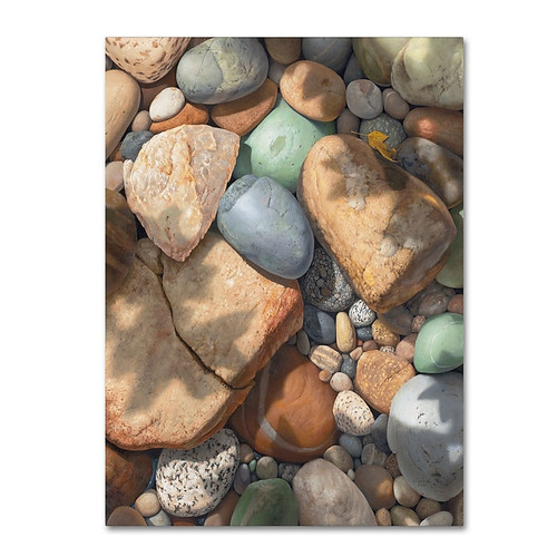 Trademark Fine Art Stephen Stavast 'Above the Shadows Break' 14 x 19 (ALI0742-C1419GG)