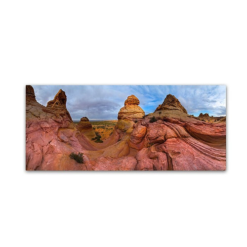 Trademark Fine Art ''Pink Mountain'' by Moises Levy 20" x 47" Canvas Art (ALI1135-C2047GG)