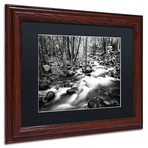 Trademark David Ayash "Yosemite...California-I" Art, Black Matte With Wood Frame, 11" x 14" (65dcf757e8837636b11a2617_ud)