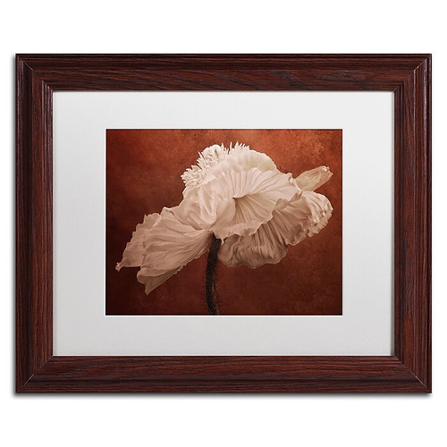 Trademark Fine Art Cora Niele 'White Poppy' 11" x 14" Matted Framed Art Print (190836311446)