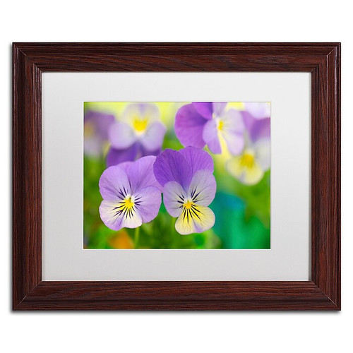 Trademark Fine Art Cora Niele 'Violets' 11" x 14" Matted Framed (190836250882)