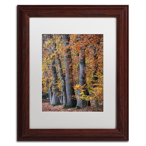 Trademark Fine Art Cora Niele 'Autumn Beeches II' 11" x 14" Matted Framed Art Print (190836315642)