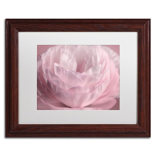 Trademark Fine Art Cora Niele 'Persian Pink Petals' 11" x 14" Matted Framed (190836306565)