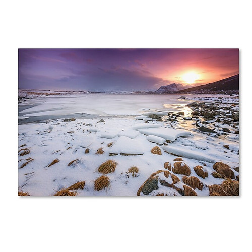 Trademark Fine Art Philippe Sainte-Laudy 'Piece Of Mind' 12" x 19" Canvas Stretched (190836128785)