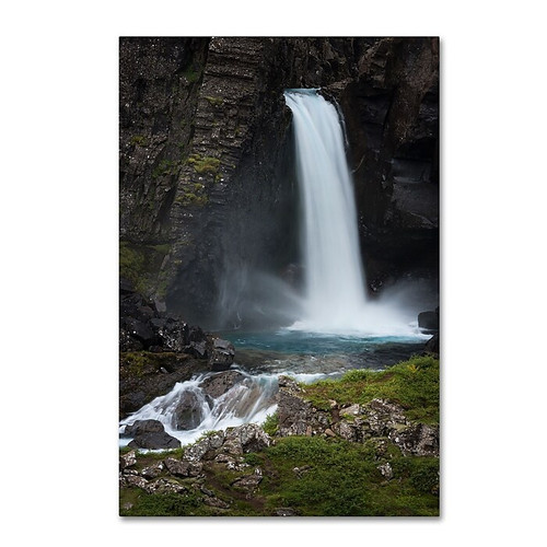 Trademark Fine Art Philippe Sainte-Laudy 'Spray ' 12" x 19" Canvas Stretched (190836326389)