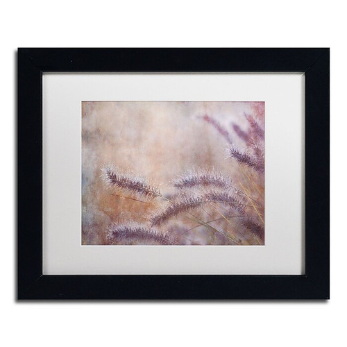 Trademark Fine Art Cora Niele 'Dew Fox Tail Grass' 11" x 14" Matted Framed (190836252428)